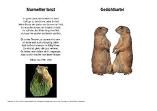 Murmeltier-tanzt-Hey.pdf